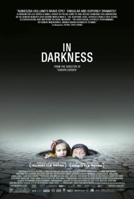 Poster phim Trốn Trong Lòng Địch – In Darkness (2011)
