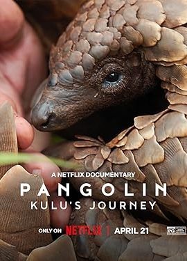 Poster phim Loài Tê Tê: Hành Trình Của Kulu – Pangolin: Kulu’s Journey (2025)