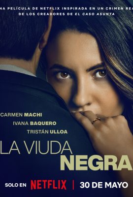 Poster phim Trò Chơi Của Một Góa Phụ – A Widow’s Game (2025)